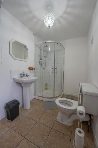 a bathroom with a shower and a toilet and a sink at Waterfall Cottage in Carnlough