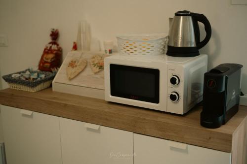 a microwave sitting on top of a counter at B & B CANTARANO in Porto Garibaldi
