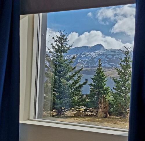Nespecifikovaný výhled na hory nebo výhled na hory při pohledu z bed and breakfast