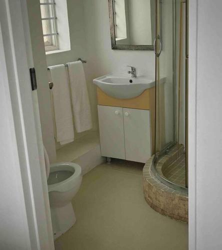 a bathroom with a toilet and a sink at Dolphins Stay in Summerstrand