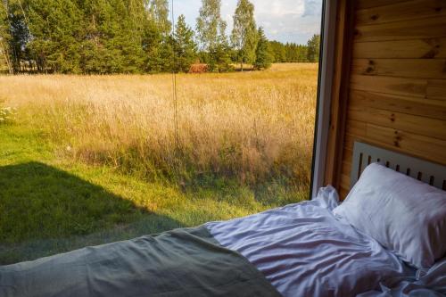 a bed in front of a window looking out at a field at Arche Siedlisko Augustynka 59 in Nurzec