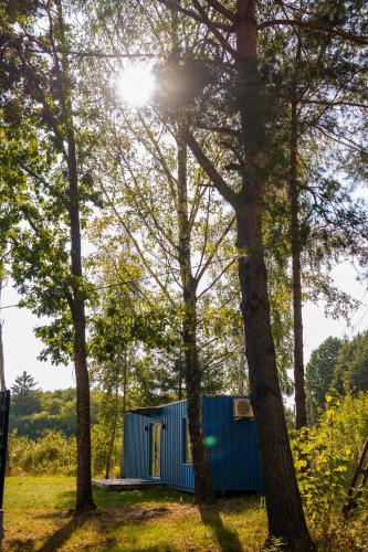 a blue house in the woods with trees at Arche Siedlisko Augustynka 59 in Nurzec