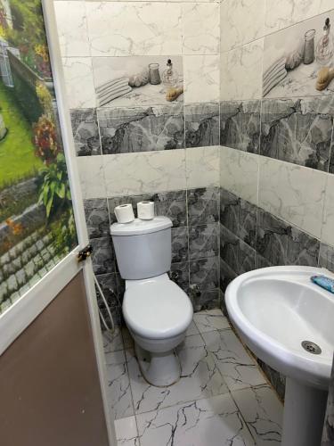 a bathroom with a toilet and a sink at mesho falcon Pyramids view inn in Cairo