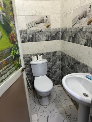 un bagno con un water e un lavandino di Ahmose Pyramids view inn a Il Cairo