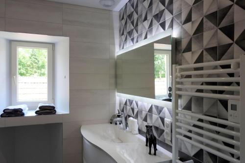 uma casa de banho com um lavatório e um espelho em Chez Clément em Balesmes-sur-Marne