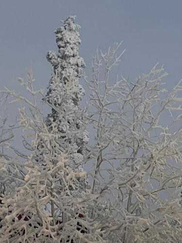 Το Idre Fjäll, Söderbyn Ski in Ski out, 30 m till pisten τον χειμώνα