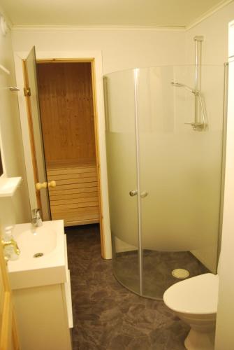 a bathroom with a glass shower and a toilet at Idre Fjäll, Söderbyn Ski in Ski out, 30 m till pisten in Idre Fjäll