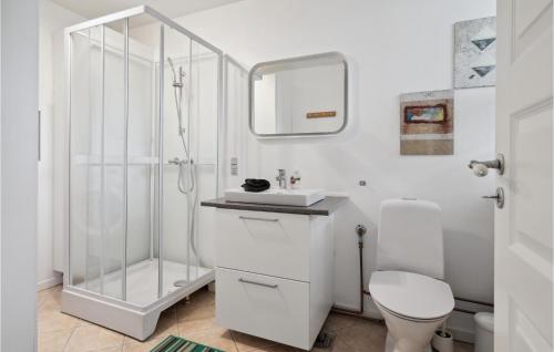 y baño blanco con ducha y aseo. en Amazing Apartment In Tranekr With Wifi, en Tranekær