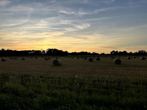 a field full of hay bales in the sunset at Studio paisible centre-ville Lagnieu / WIFI in Lagnieu