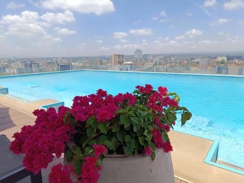 a pot of flowers on a balcony with a swimming pool at Skynest Residences by Lisa's Paradise A in Nairobi