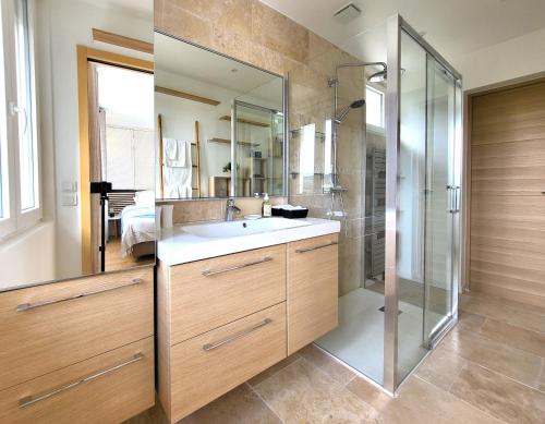 ein Bad mit einem Waschbecken und einer Dusche in der Unterkunft Le Bellevue - Beaux appartements avec vue splendide in Palaiseau