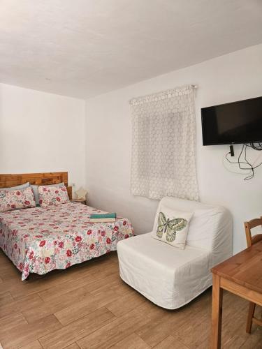 1 dormitorio con 1 cama, 1 silla y TV en Casita La Raiz en Barbate