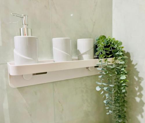 a shelf with cups and a plant on a wall at Wisteria in Nafpaktos