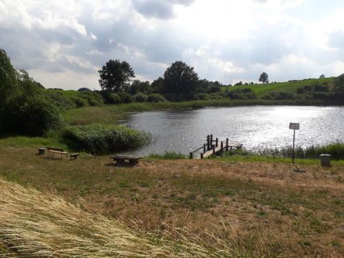 a lake with benches in front of a field at Gutshaus Alt-Krassow in Lalendorf