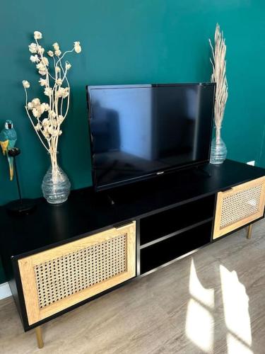 - une télévision à écran plat assise sur un centre de divertissement avec 2 vases dans l'établissement Le Green Twin, au Havre