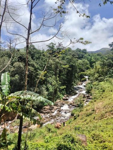 COORG HOTEL AND COTTAGE – Photos 4