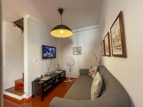 a dog sitting on a couch in a living room at Évora City Break Apartment with Patio in the Historic Centre in Évora