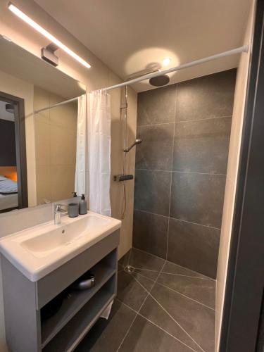 a bathroom with a sink and a shower at NORDIC Apartamente Păltiniș in Păltiniş