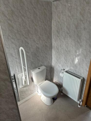 a small bathroom with a toilet and a radiator at Disabled 4 Berth in Ingoldmells Maples Lodge in Ingoldmells