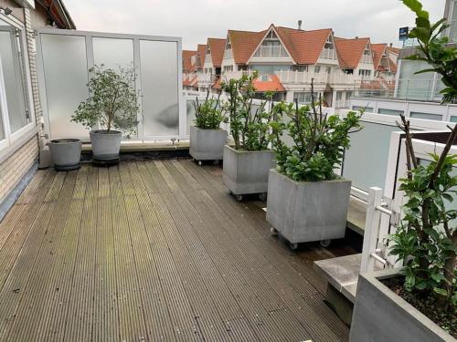 uma varanda com vasos de plantas em vasos num edifício em Zoute penthouse (near place Albert) em Knokke-Heist