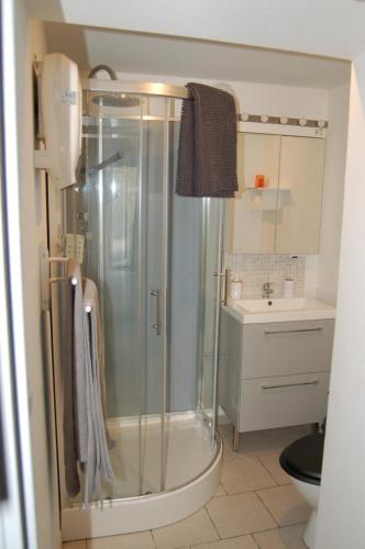 阿克斯萊泰爾姆的住宿－Studio La LAUZE，带淋浴和盥洗盆的浴室