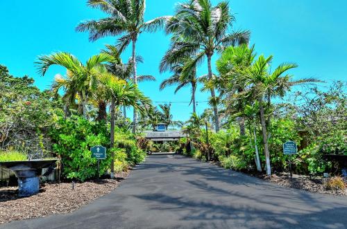 a road with palm trees and a bridge at Siesta Key Palms Resort in Sarasota