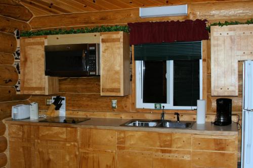 Moose Cabin في Anchor Point: مطبخ مع مغسلة وتلفزيون في كابينة