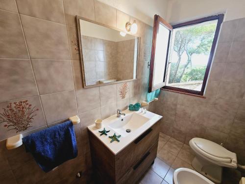 a bathroom with a sink and a toilet and a mirror at Villette Oleandri Vista Mare in Rena Majore