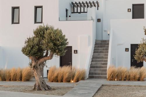 Gambar di galeri bagi Mazera Boutique Hotel di Mýkonos City