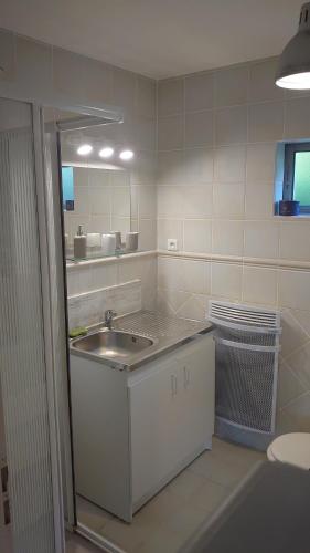 La salle de bains est pourvue d'un lavabo et d'un miroir. dans l'établissement Studio au coeur de la petite camargue, à Beauvoisin
