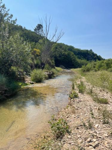 a stream of water in a field with trees at Histoire de cru in Saignon