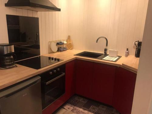une cuisine avec un évier et une cuisinière four supérieur dans l'établissement Cocon une surprise vous attend à Dunkerque, à Dunkerque