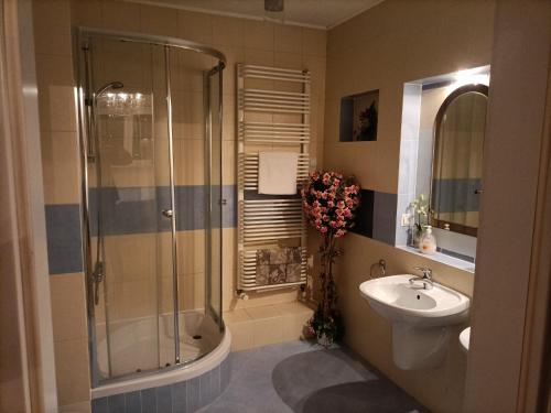 a bathroom with a shower and a sink at Arkadia Centrum - Pokoje in Warsaw