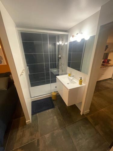 La salle de bains est pourvue d'un lavabo blanc et d'une douche. dans l'établissement Gare australe, à Saint-Brieuc