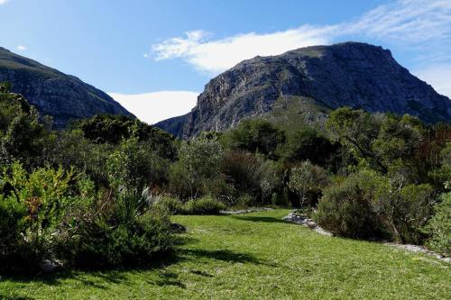 a mountain in the middle of a grassy field at Cuckoo's Corner in Bettyʼs Bay