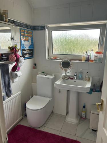 a small bathroom with a toilet and a sink at LN host in Rockingham