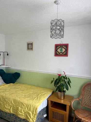 um quarto com uma cama e um vaso de plantas em LN host em Rockingham