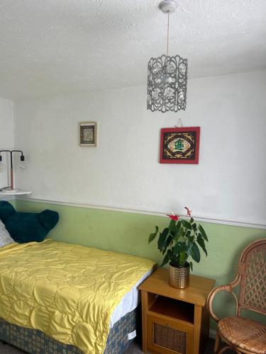 a bedroom with a bed and a potted plant at LN host in Rockingham