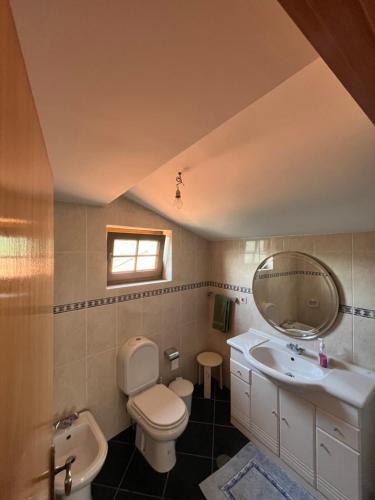 La salle de bains est pourvue d'un lavabo, de toilettes et d'un miroir. dans l'établissement Casa da Leira, à Resende