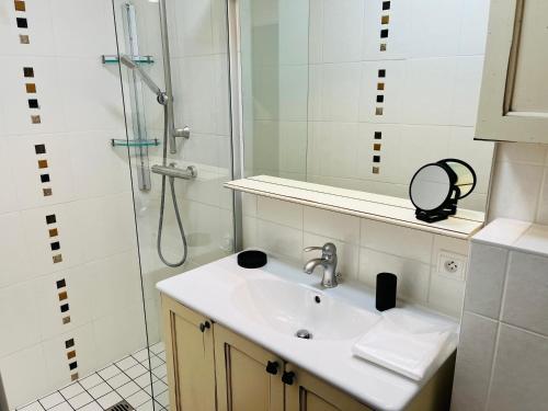 un bagno con lavandino e doccia di Studio du cerf a Megève