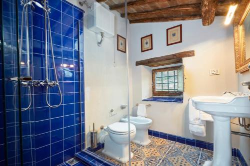 ein blau gefliestes Bad mit WC und Waschbecken in der Unterkunft La Pesa di Sopra in Radda in Chianti