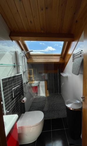 a bathroom with a toilet and a sink at Duplex en Casco Histórico in León