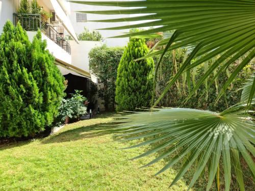 a palm tree in a yard next to a building at Luxury Home in Spáta
