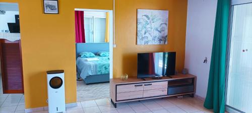 uma sala com um quarto com uma cama e uma televisão em LE GABY à Saint-André em Saint-André