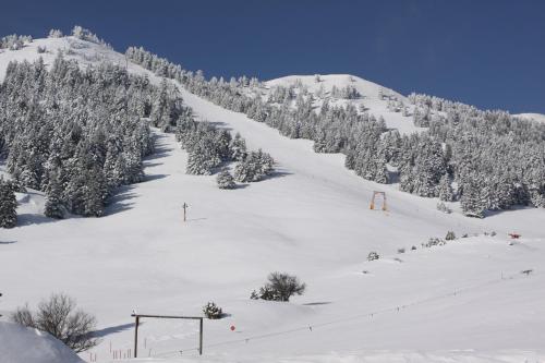 a snow covered ski slope with trees and a ski lift at Villa Arcadia in Vlakhérna