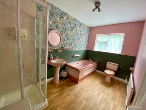 La salle de bains est pourvue d'un lavabo, de toilettes et d'une douche. dans l'établissement Canice Mooney Self Catering Holiday Home, à Drumshanbo