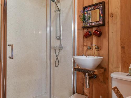 a bathroom with a shower and a sink at Wampford Woodland Retreat - Kings Cabin in George Nympton