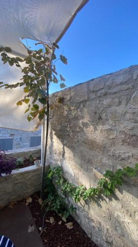 a small tree sitting next to a stone wall at Urla Casa Bianca in Urla