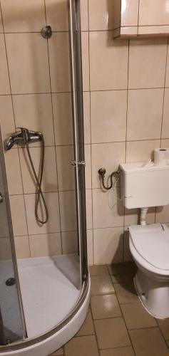 uma casa de banho com um chuveiro e um WC. em Noclegi pracownicze em Tomaszów Mazowiecki