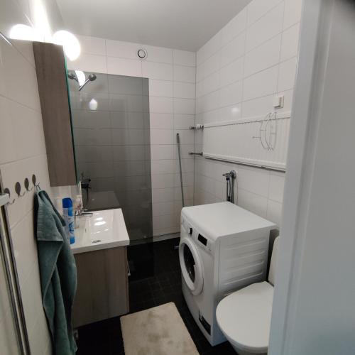 ein kleines Bad mit WC und Waschbecken in der Unterkunft GREEN in Närpiö